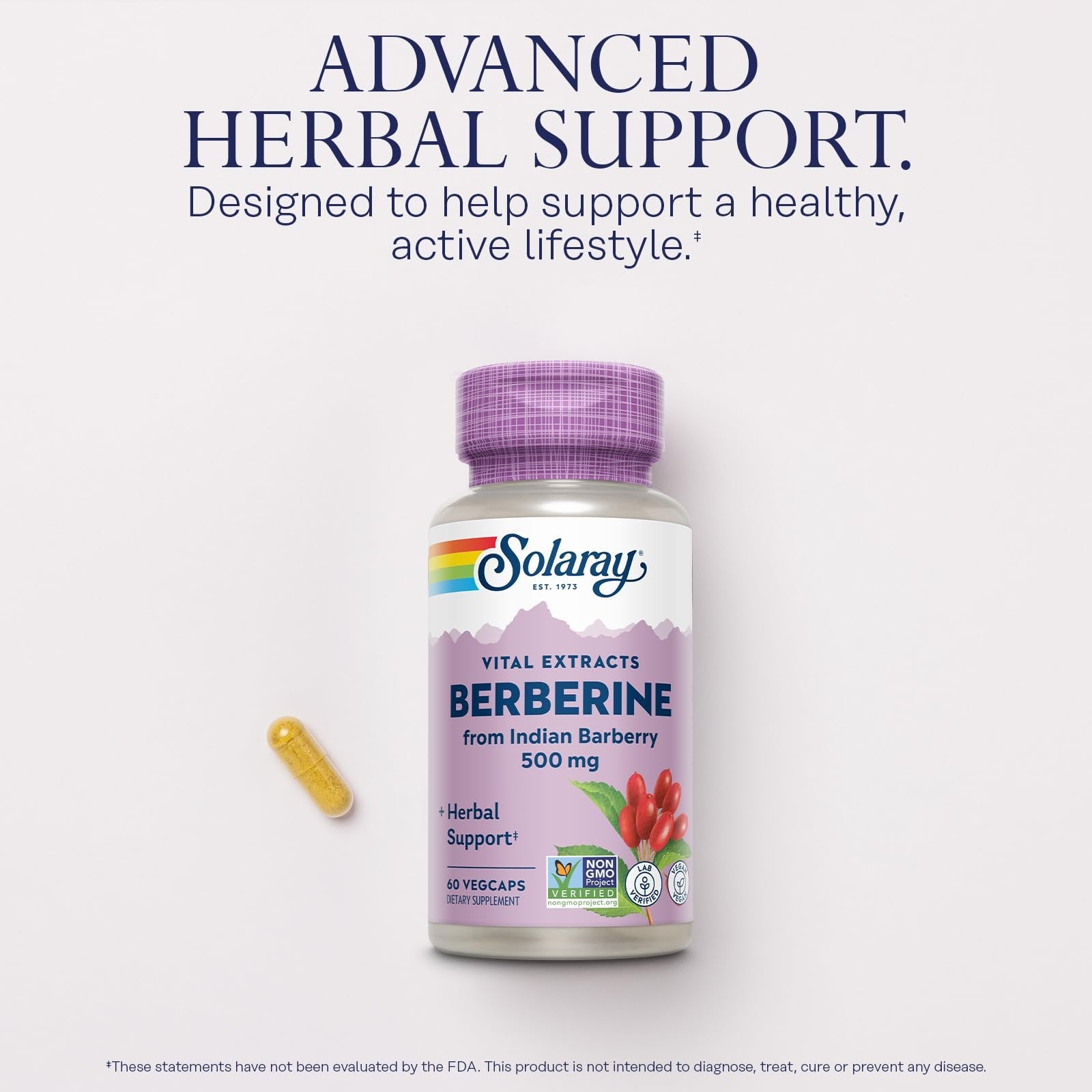 SOLARAY Berberine 500mg - Berberine Supplement for a Healthy, Active Lifestyle - with Berberine HCl from Indian Barberry - Vegan, Non-GMO, 60-Day Guarantee, Lab Verified - 60 Servings, 60 VegCaps