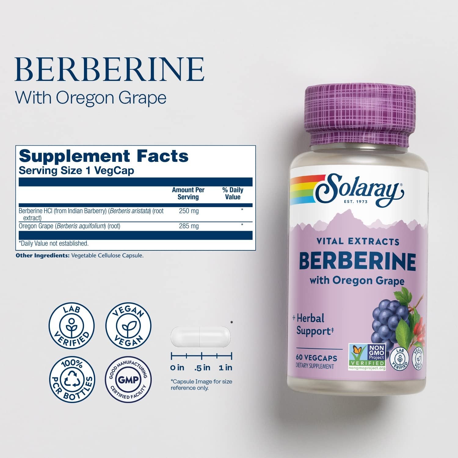 SOLARAY Berberine Root Extract Advanced Formula, AMPK Activator, Healthy Immune, Digestion & Metabolism Support, 60 VegCaps