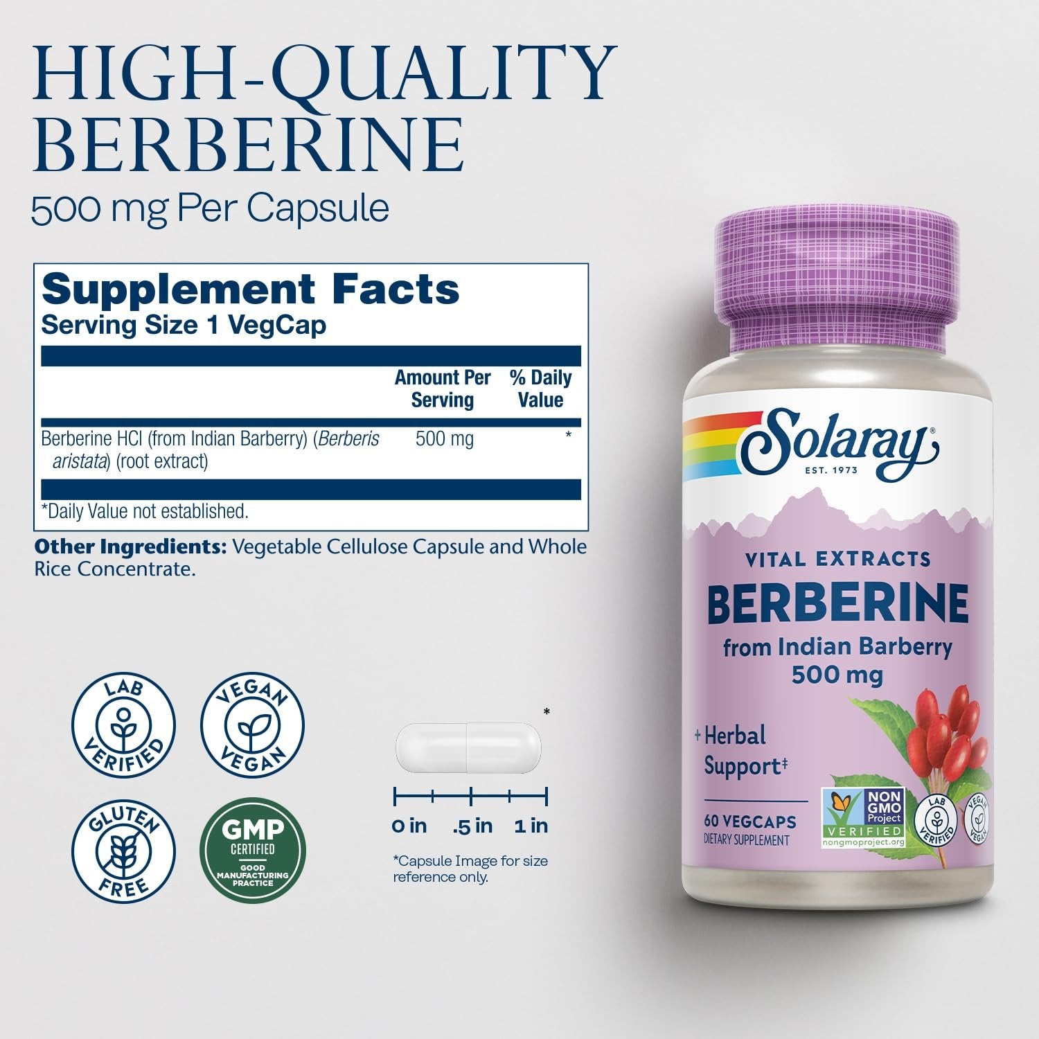 SOLARAY Berberine 500mg - Berberine Supplement for a Healthy, Active Lifestyle - with Berberine HCl from Indian Barberry - Vegan, Non-GMO, 60-Day Guarantee, Lab Verified - 60 Servings, 60 VegCaps