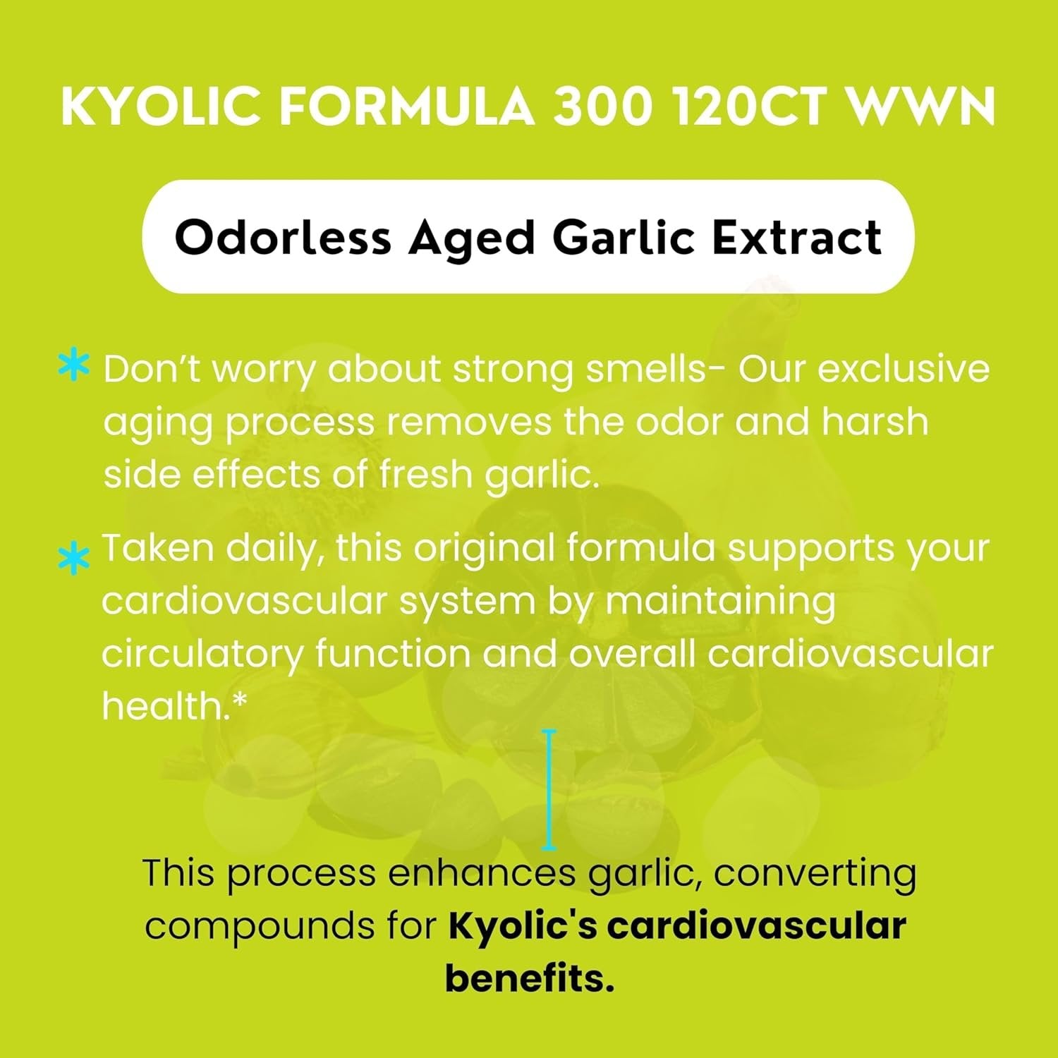 Kyolic Aged Garlic Extract Cardiovascular Health Vegan Formula 300 Vegan - Cardiovascular Health Support - 120 Capsules with Multi-Purpose Keychain