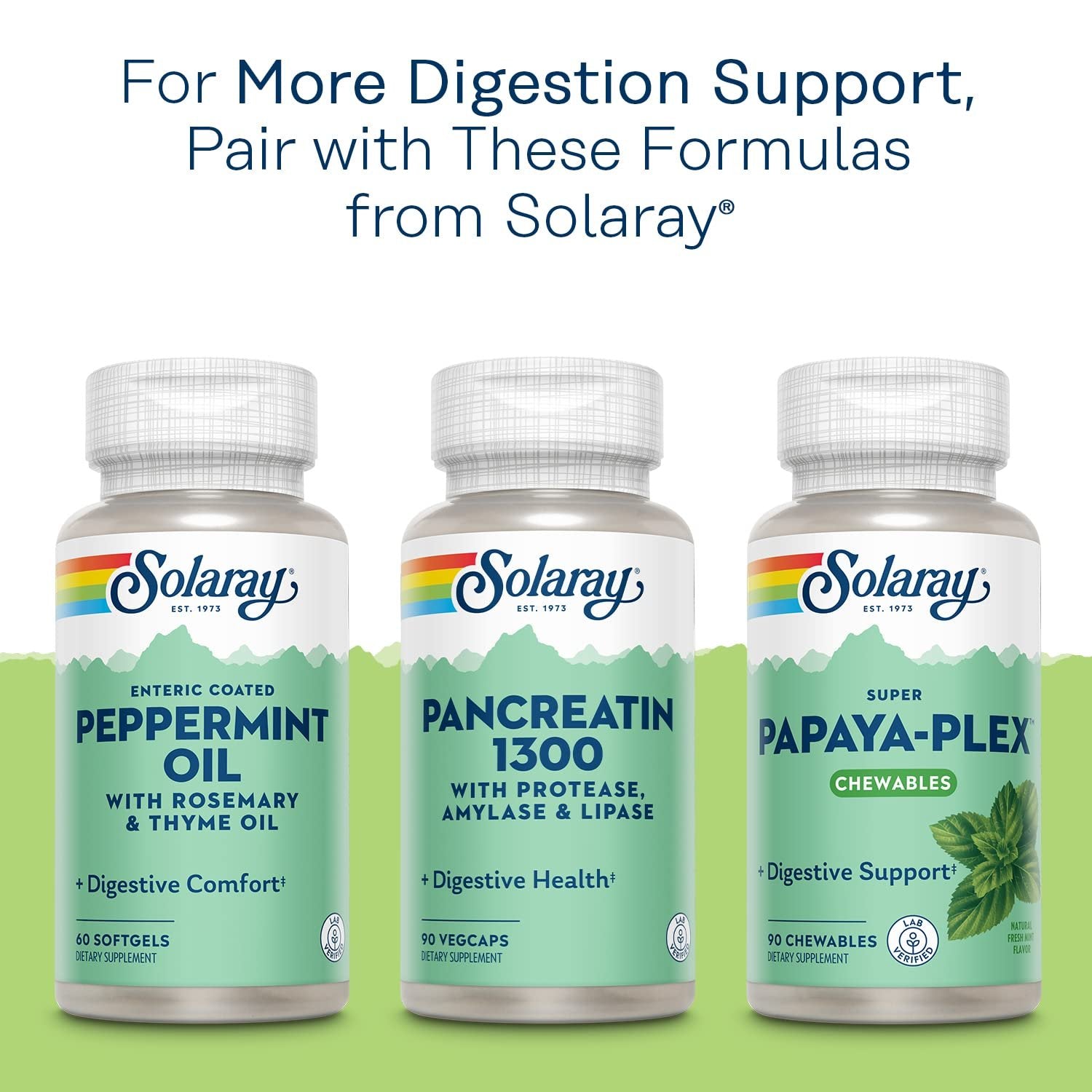 SOLARAY Betaine HCL with Pepsin - High Potency Hydrochloric Acid Formula - Digestive Health Supplement with Digestive Enzymes for Gut Health Support - 60-Day Guarantee (100 Servings, 100 Veg Caps)