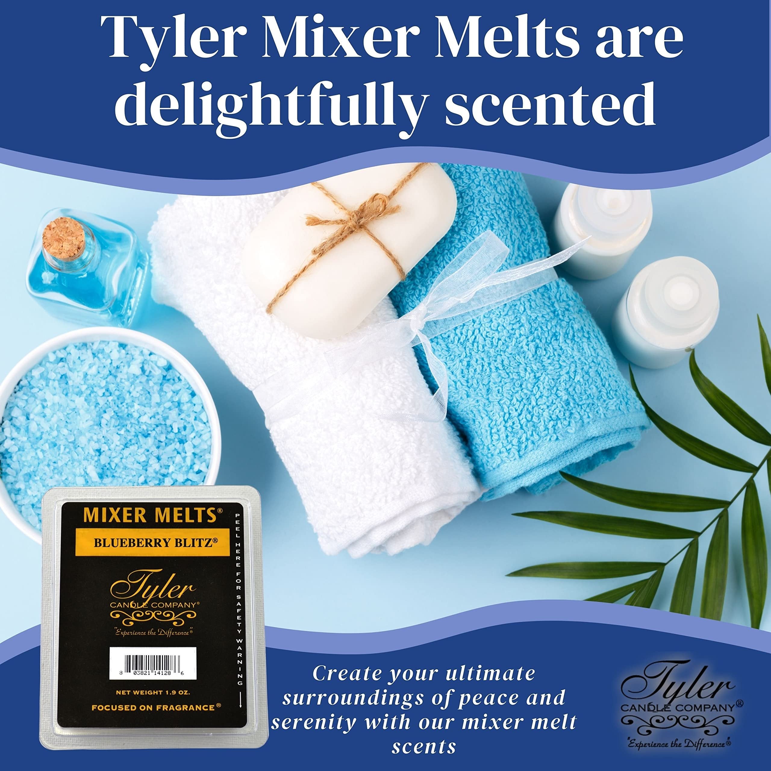 Tyler Candle Company Regal Scent Soy Wax Melts - Essential Oil-Infused Mixer Melts for Wax Warmers - 14-Pack Box (6 Bars per Melt) with Keychain