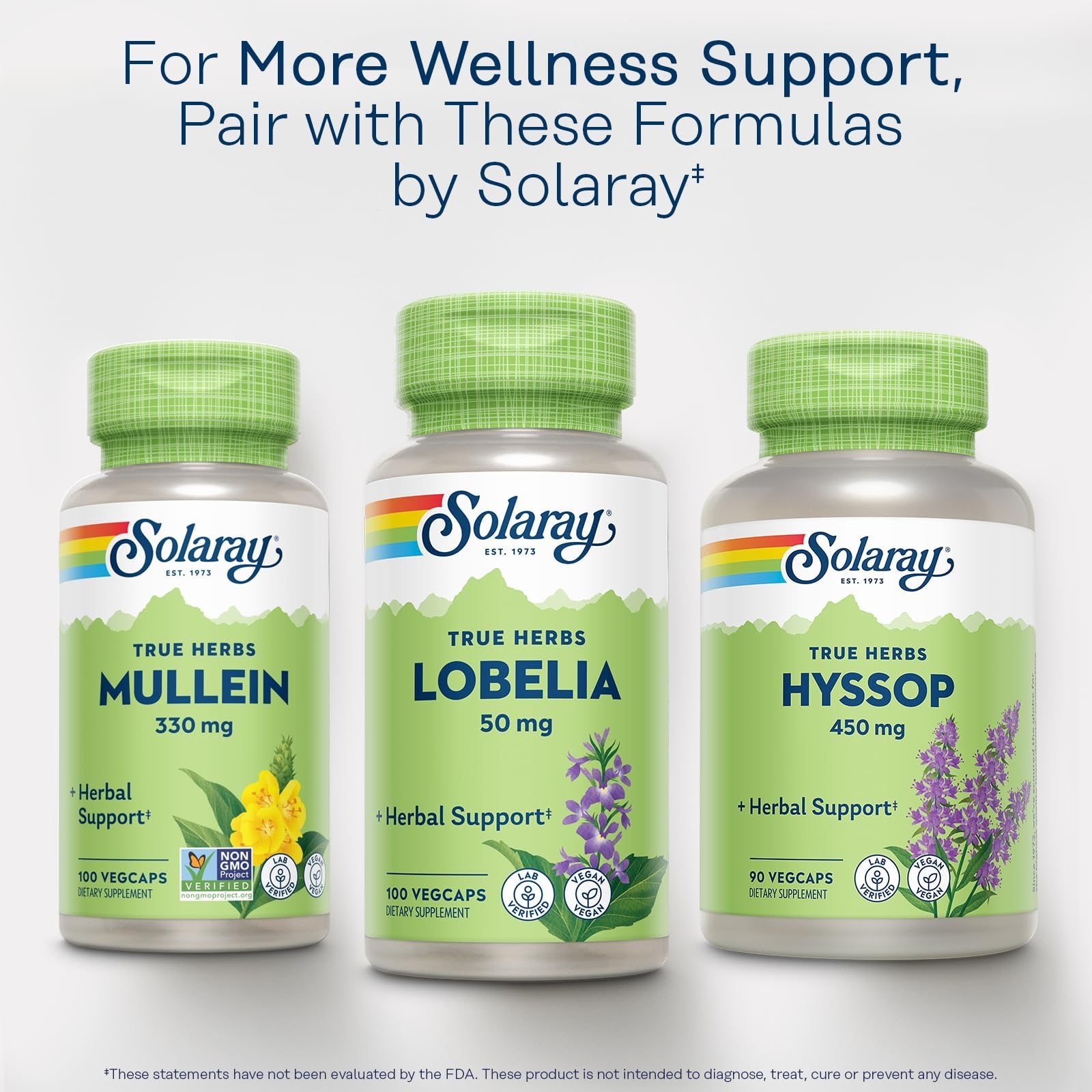 SOLARAY Mullein Leaf 330 mg - Soothing Herbal Support - Traditionally Used to Support Health and Wellness - Vegan, Non-GMO, Lab Verified, 60-Day Money-Back Guarantee, 100 Servings, 100 VegCaps