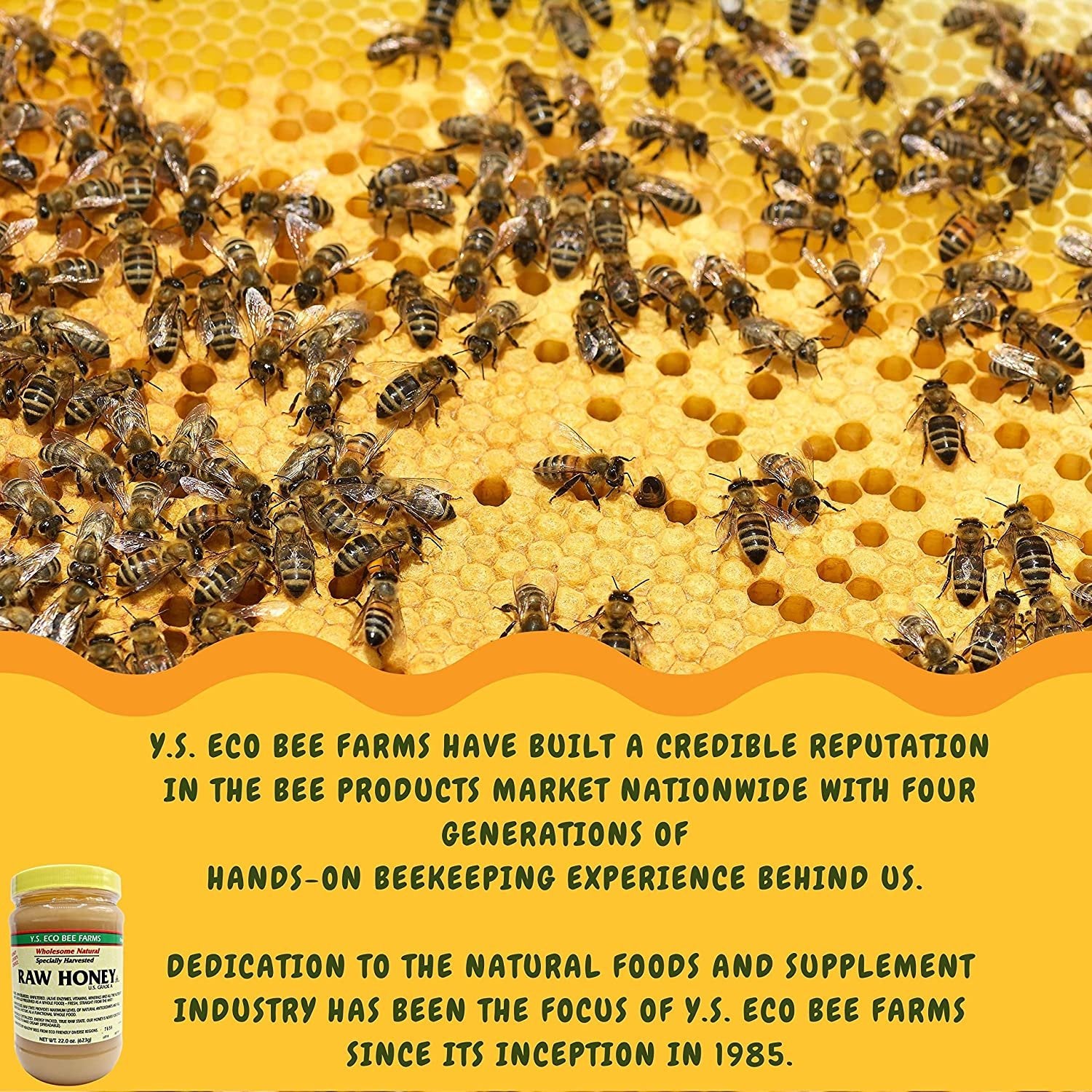 Y.S. Eco Bee Farms, Y.S. Organic Bee Farms, Wholesome Natural Raw Honey, Unpasteurized, Unfiltered, Fresh Raw State, Kosher, Pure, Natural, Healthy, Safe, Gluten Free, Specially Harvested, 22oz - 4pk