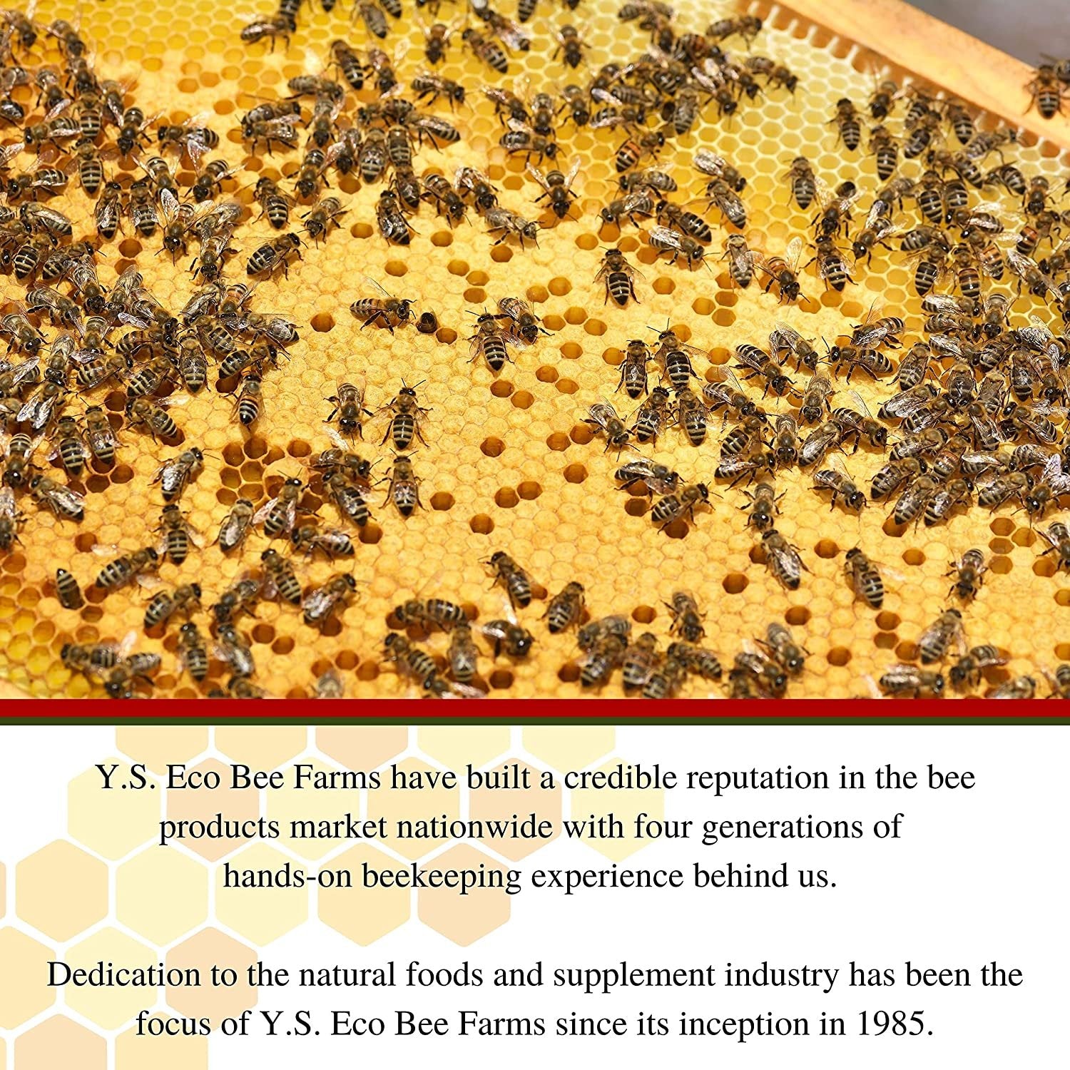 Y.S. Organic Bee Farms, 100% Certified Y.S. Organic Raw Honey, Unpasteurized, Unfiltered, Fresh Raw State, Kosher, Pure, Natural, Healthy, Safe, Gluten Free, Harvested with Extreme Care, 2 Lb (6)