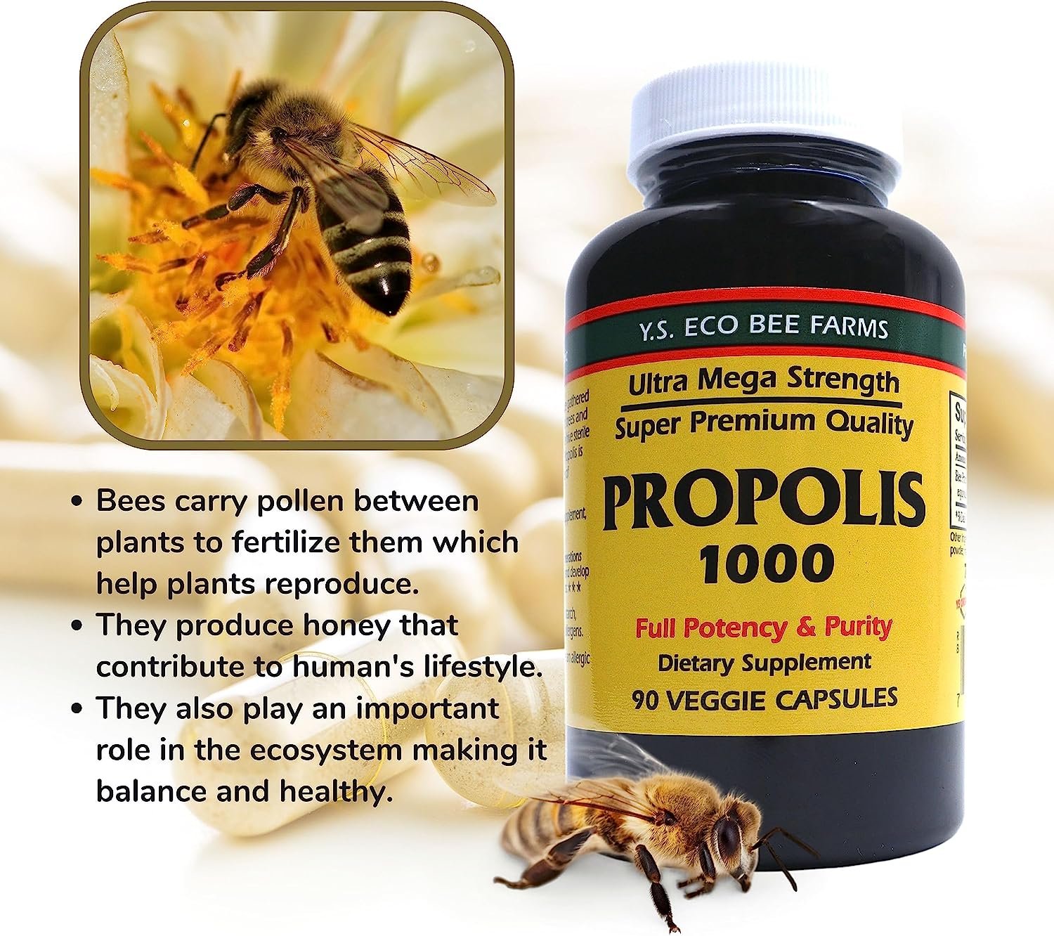 BEEKEEPER'S NATURALS B. Powered - Fuel Your Body & Mind, Helps